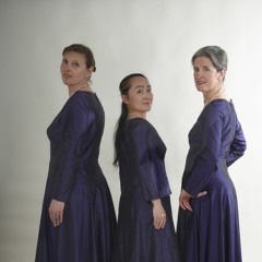 Ave Maris Stella, Jacob Obrecht (1457-1505)