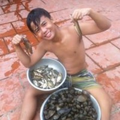 Tài Lê