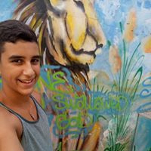 Gilad Shem-tov’s avatar