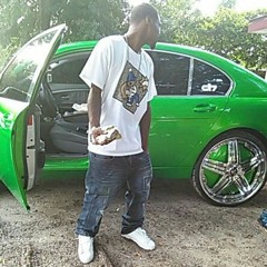 Elo Amexem {CooCoo} Emperor Elo