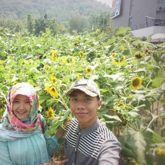 Dwi MayangSari Fatoni