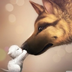 Blue Galaxy Jellybeans