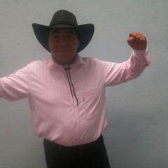 Mauricio R Calixto Ch