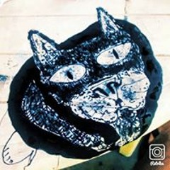 Juliano Elgato Coronica