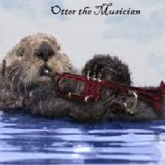Otter Musician
