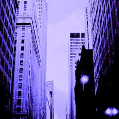 BXBLUIJTERS