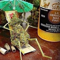 Dr. Hippieflip