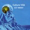 Culture Villè