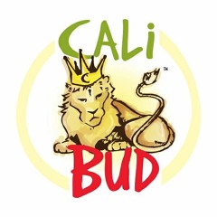 Calibudmusic