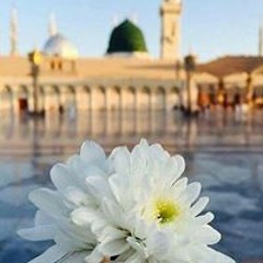 Maham Rehan