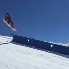 Nicola Forte