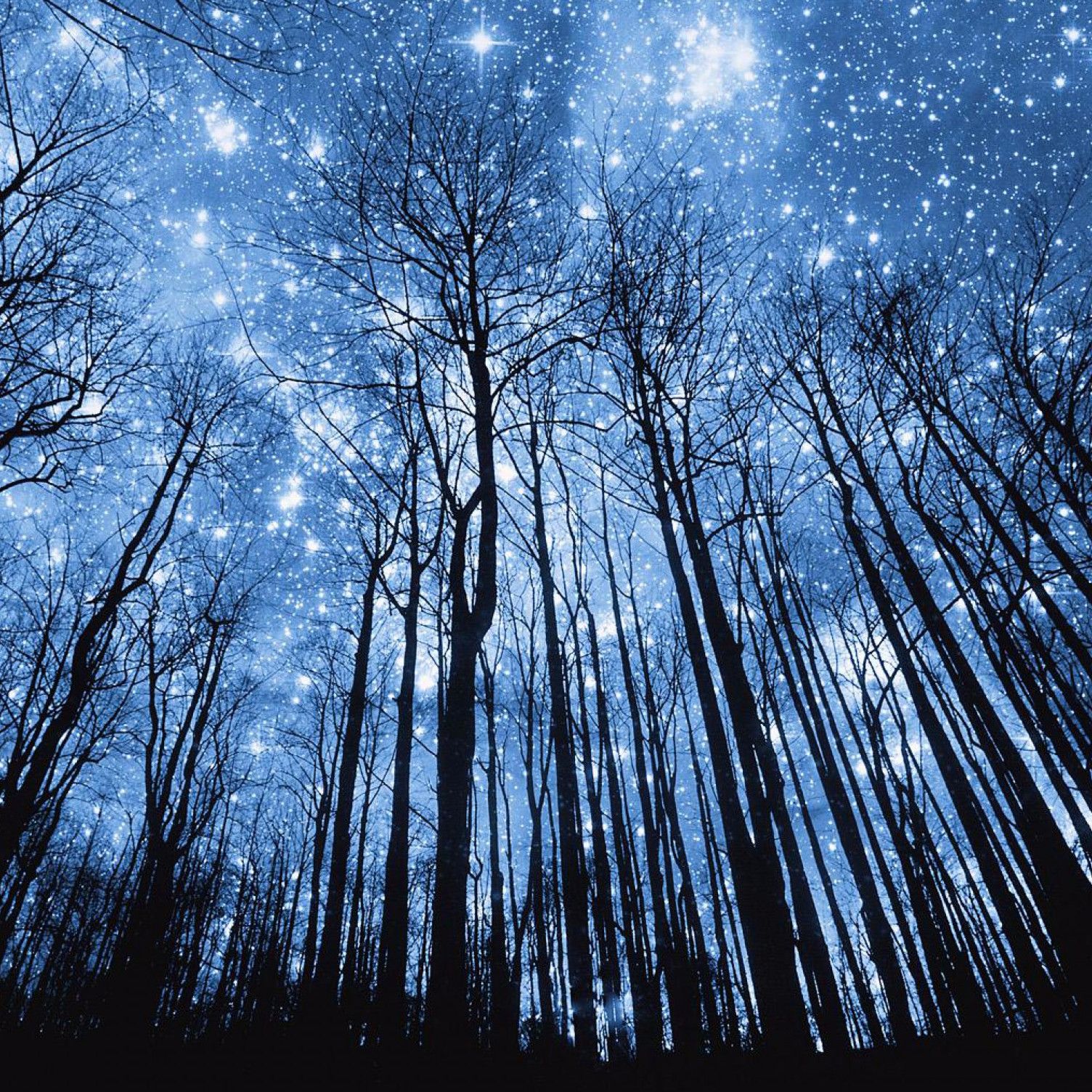 The Astro