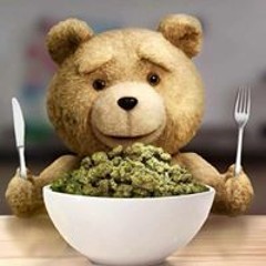 Youngdiscrace Anotomus