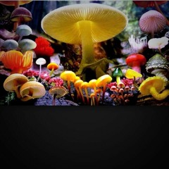 ~:~Moons&Shrooms~:~
