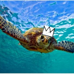 KingTurt