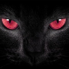 I Wan'na Be Like You - Fall Out Boy Cover Remix