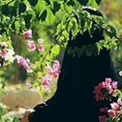 رثاء الحب- المنشد محمد صفي الدين