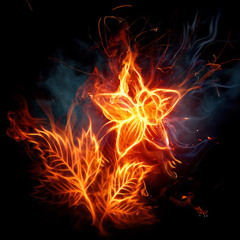 STARF1RE