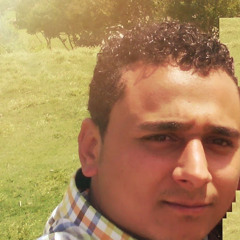 Amr Hegazy