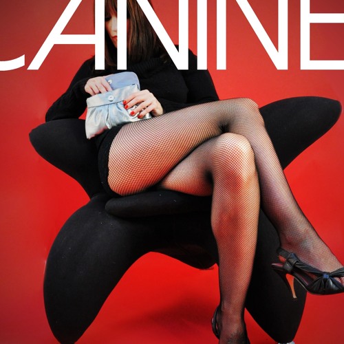 SoundCloud profile picture for @canines