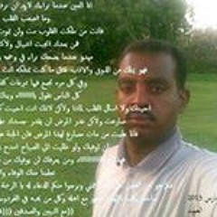 ابو شايب