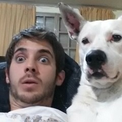 tomas morcos