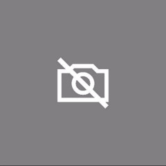 Dennis Flores-Orellana