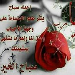 Gana Amir