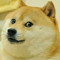 Doge