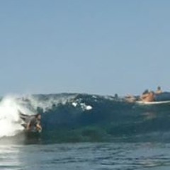 Kaleo