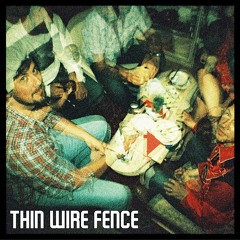 ThinWireFence