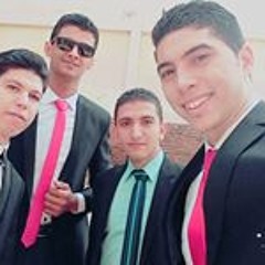 الشيخ محمد سالم عامر