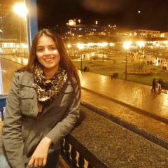 Hillary Flores Angulo