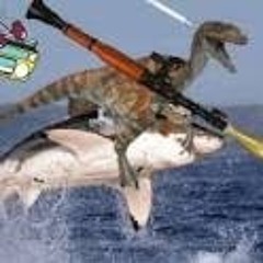 AbdulRazzaq Sarfaraz