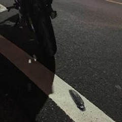 沖怜一志