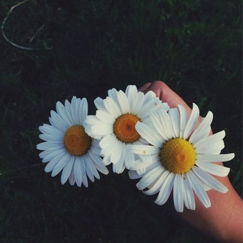 رسالة لمنسى #رغدة_محمد