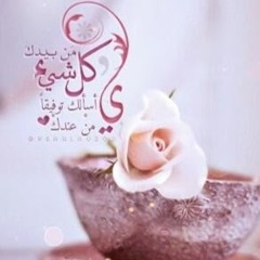 Heba Mahmoud
