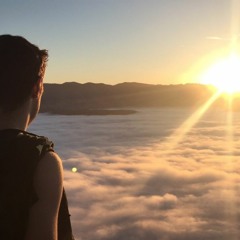 T H E  C A S H I E R