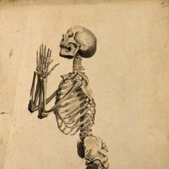 skeletvn
