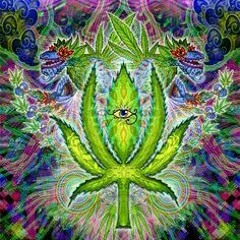 FreeTheWeed