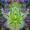 FreeTheWeed