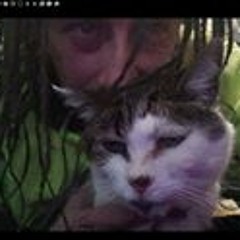 FunkyShitUCanShakeYoAss2