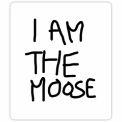 SPRUCED MOOSE