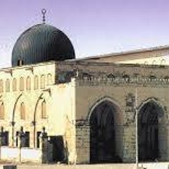 علاء أبو بكر