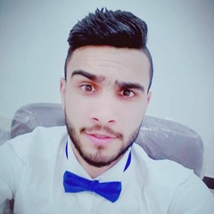 Sayed Meshref