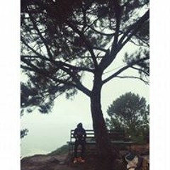 Đình Duy