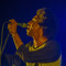 pedro amado