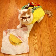 Cattaco