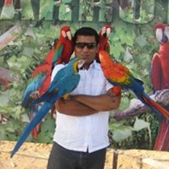 Hassan