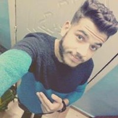 Abdelrahman M. Sayed